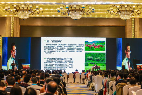 江西活動策劃公司 專業承辦南昌企業年會、產品推介會及大型活動組織策劃服務